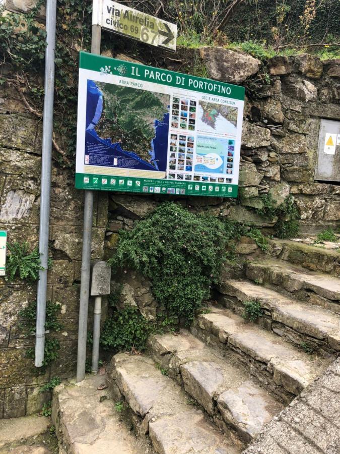 La Mansarda Di San Lorenzo *